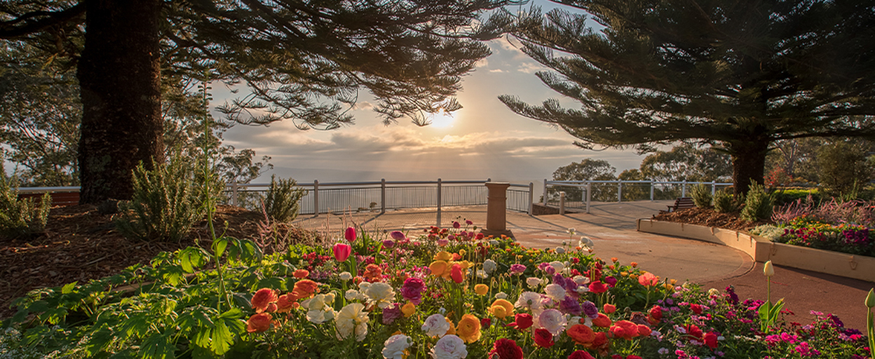 What's happening in the Toowoomba property market