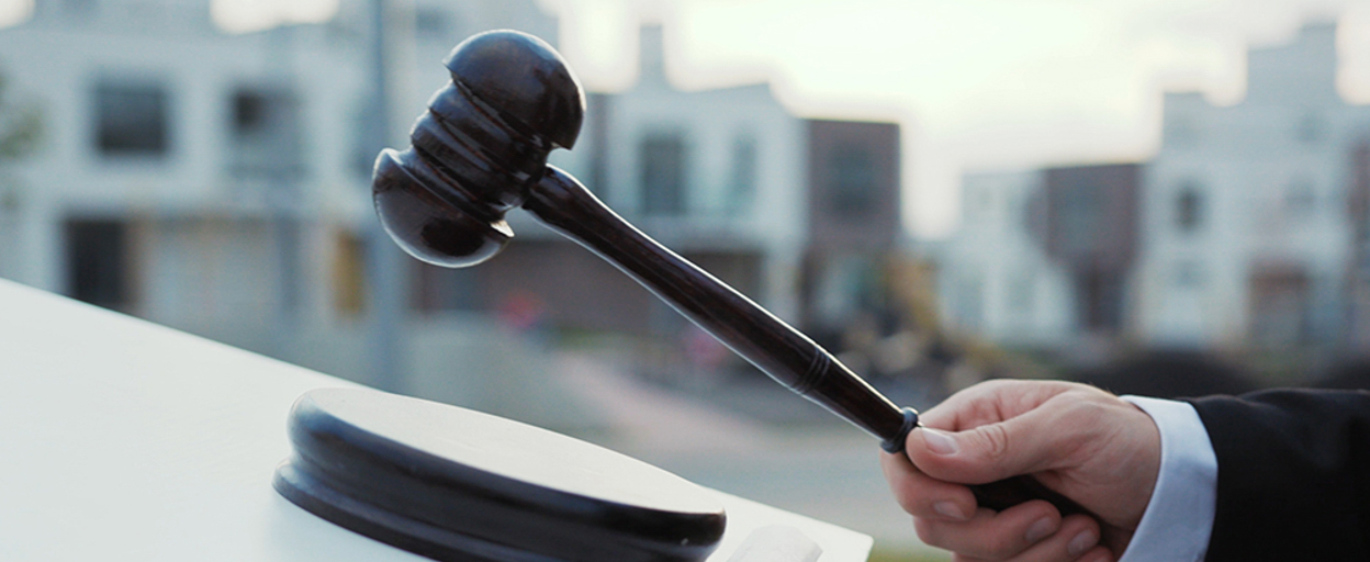 What does an auctioneer do?