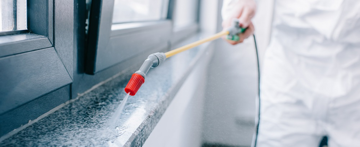 pest management for property managers